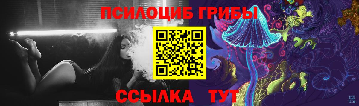 Псилоцибиновые грибы Psilocybe Протвино