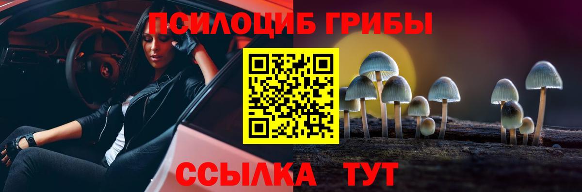 Протвино  Галлюциногенные грибы мухоморы  Вход с VPN 